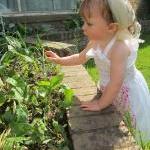 Toddler, Little White Apron Front Sun Dress, 12..